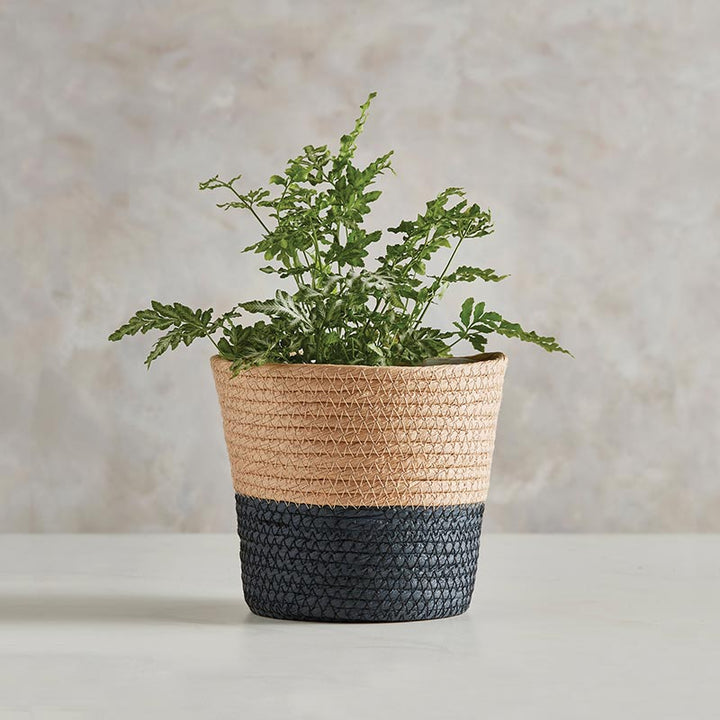 Two Tone Black Lined Basket