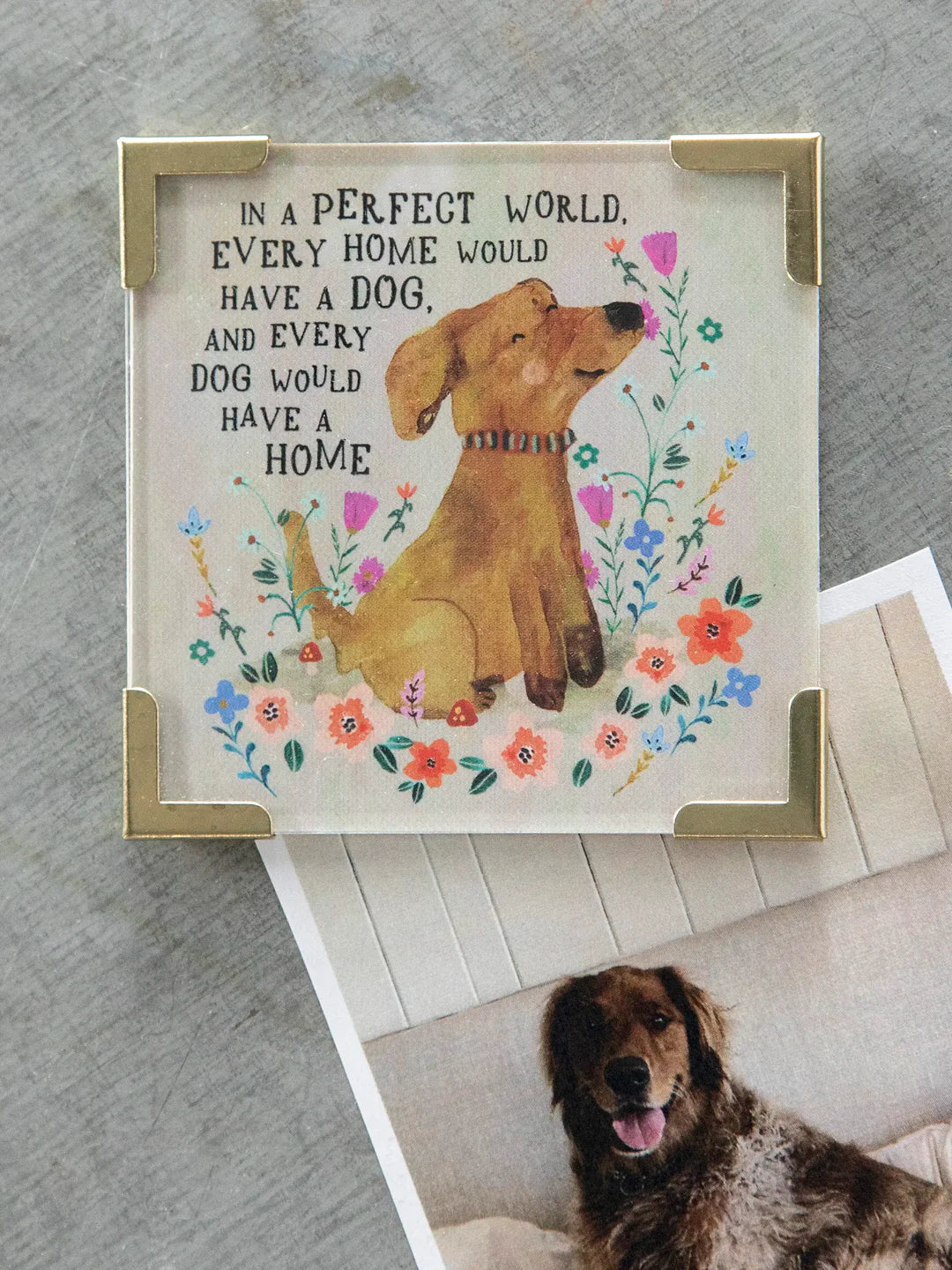 Corner Magnet - Every Home