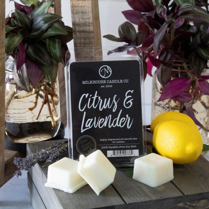 Creamery Fragrance Melts -   Citrus & Lavender