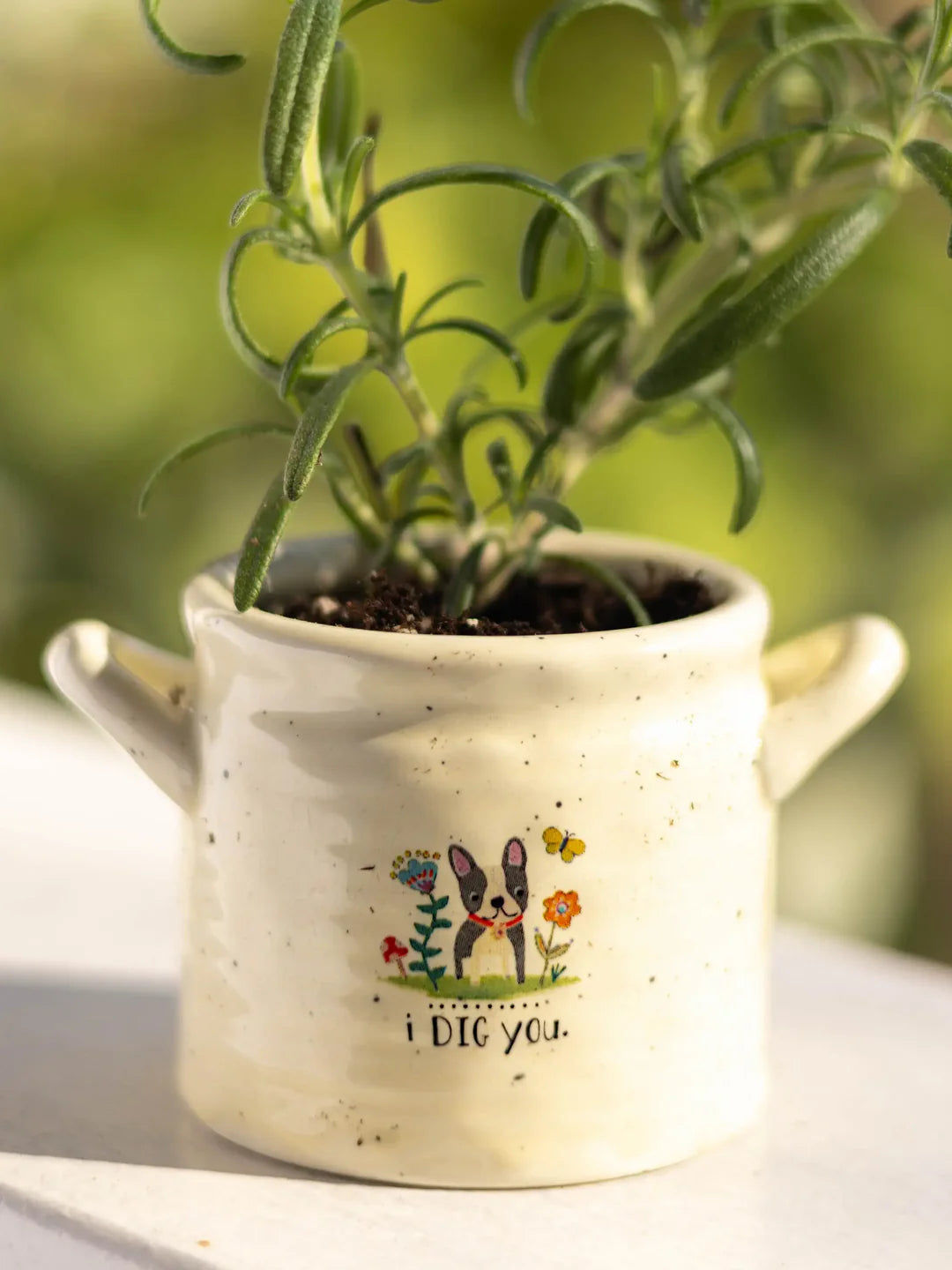 Crock Planter – I Dig You (Small) | Artisanal Ceramic Gift Pot ...