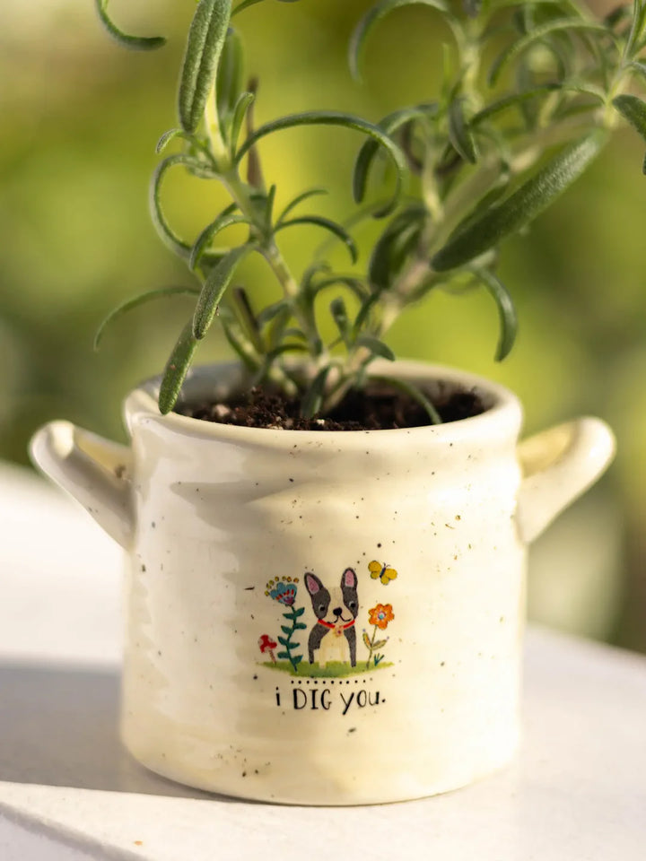 Crock Planter - I Dig You SML