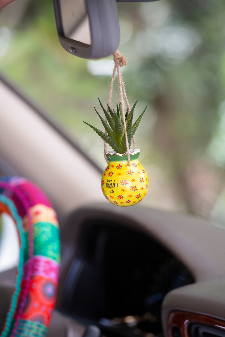 SUCCULENT CRITTER HANGING PINEAPPLE
