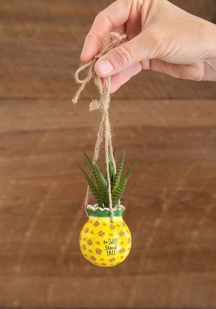 SUCCULENT CRITTER HANGING PINEAPPLE