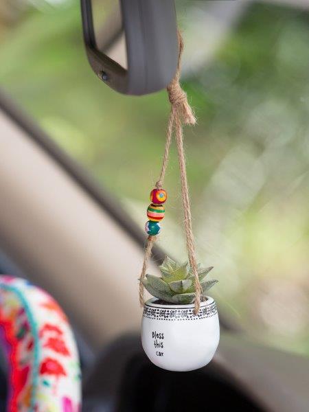 bless this car succulent Hanging Succulent Plant - Bless This Car - Faux Succulent