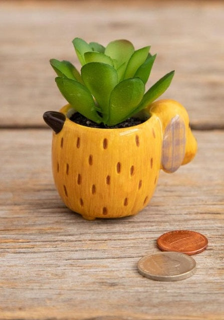 SUCCULENT CRITTER YELLOW DOG