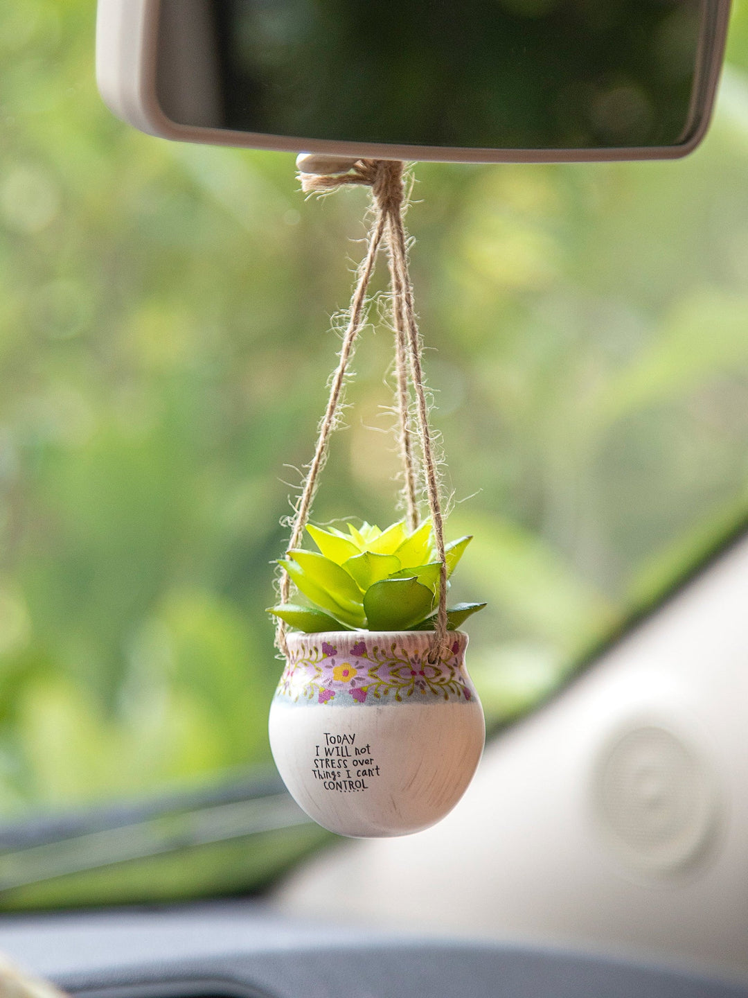 Hanging Succulent Today Not Stress