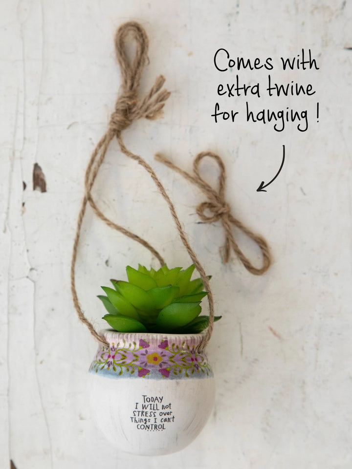 Hanging Succulent Today Not Stress