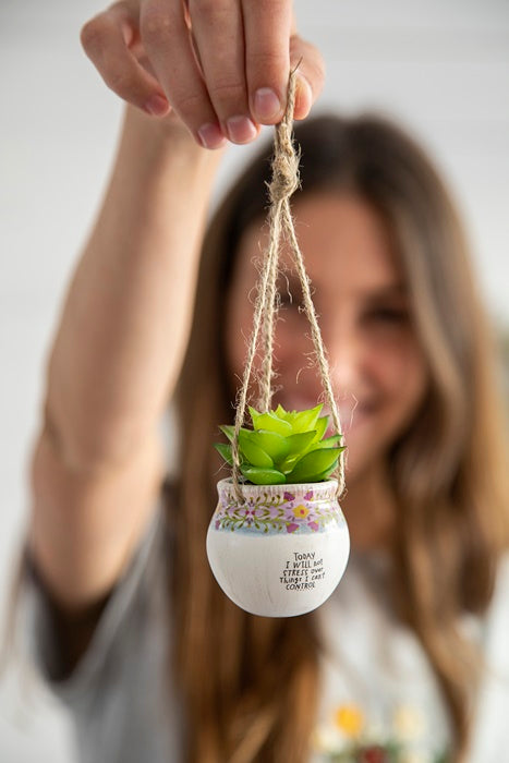 Hanging Succulent Today Not Stress