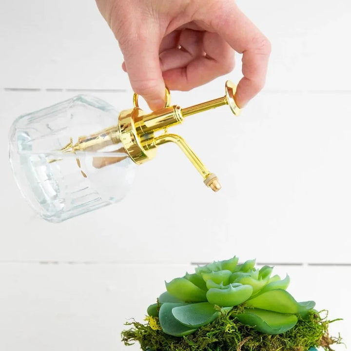 PLANT MISTER CLEAR