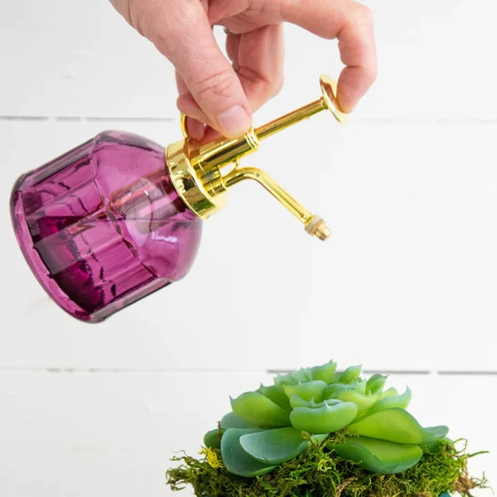 PLANT MISTER LAVENDER