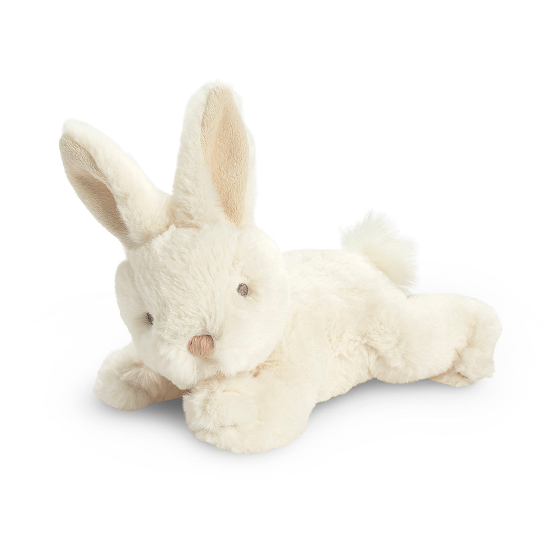 You Belong Here Bunny Encouragement Gift Set