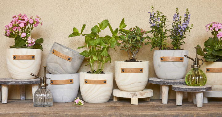 Wood Planter - I Will Survive