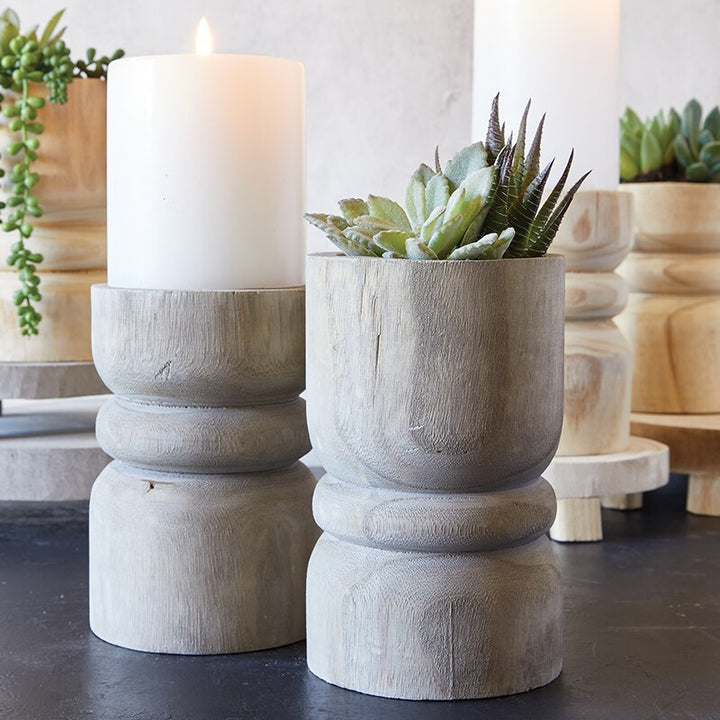 Succulent Pillar Medium  - Grey Paulownia Wood