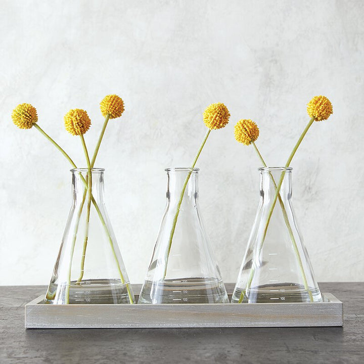 Glass Beaker Vase - Trio Set