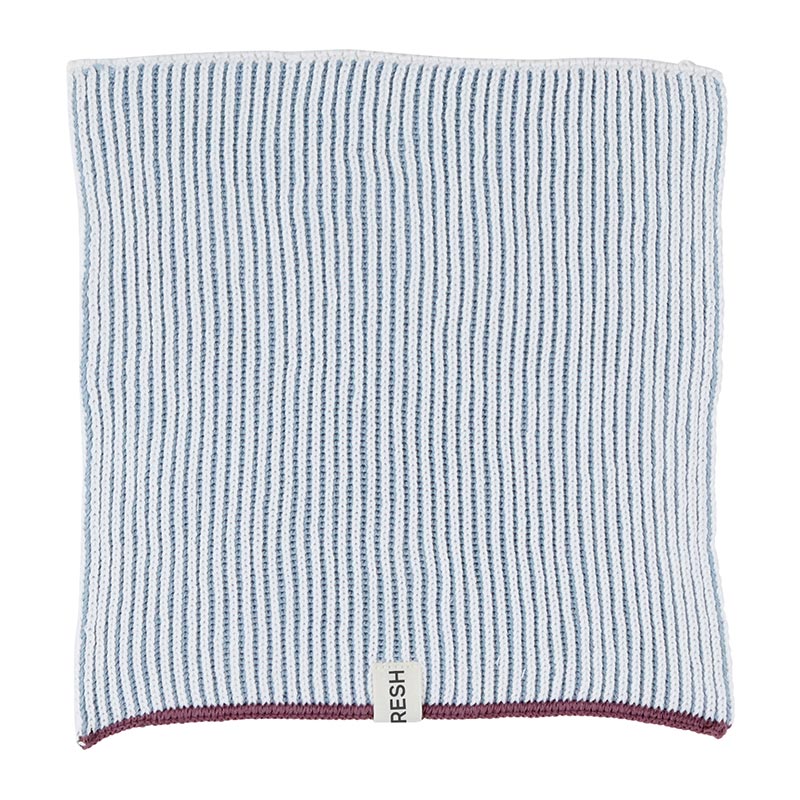 Dishcloth Set of 2 Blue