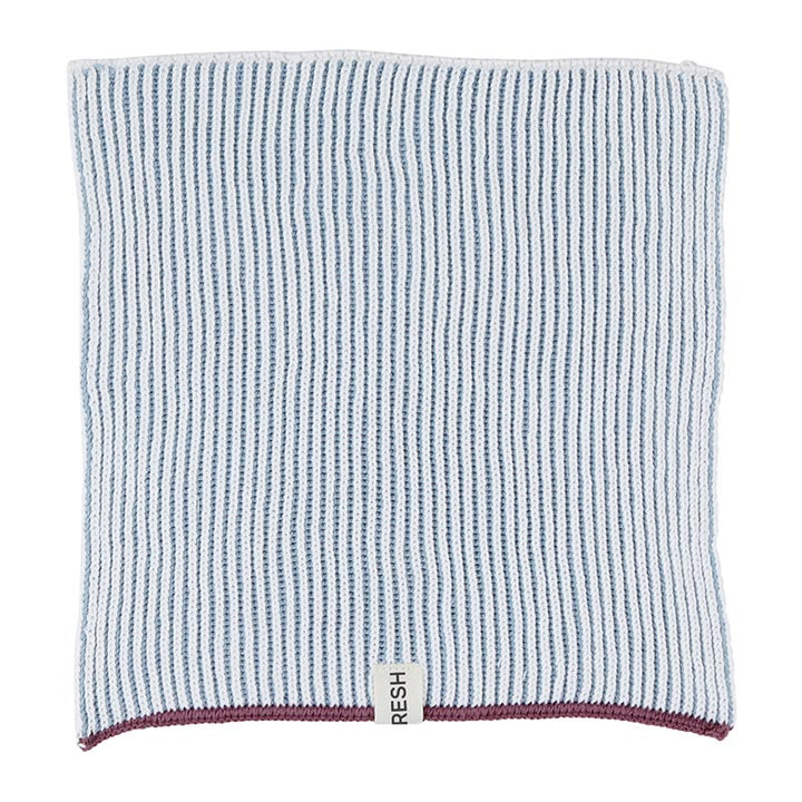 Dishcloth Set of 2 Blue