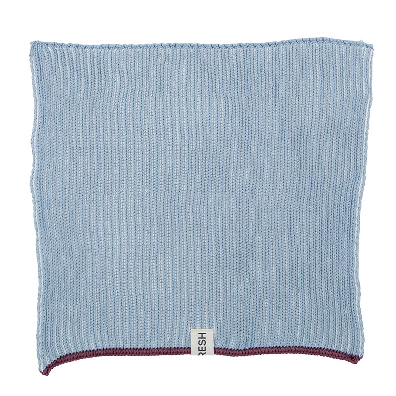 Dishcloth Set of 2 Blue