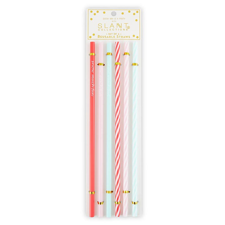 Reusable Straws - So Much Fun - Holiday