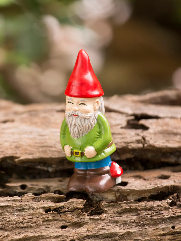 Garden Gnome in a Box - Large