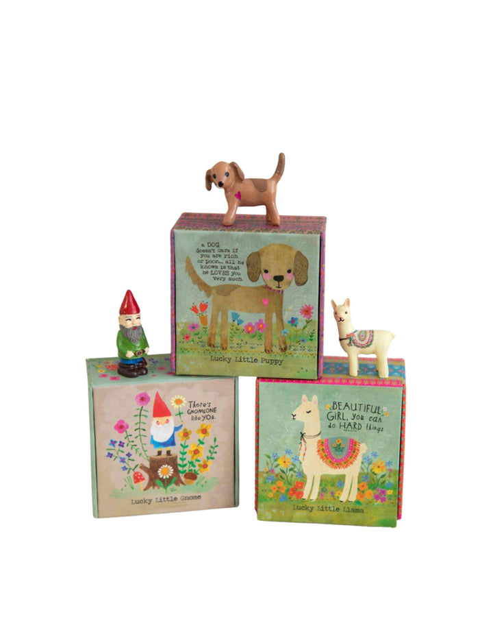 LUCKY CHARM IN BOX PUPPY NC