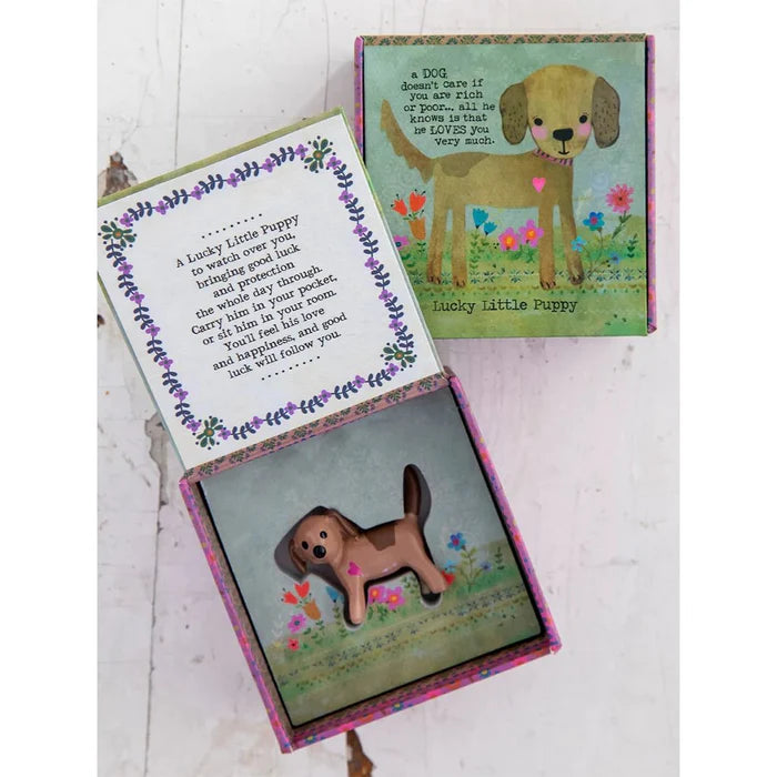 LUCKY CHARM IN BOX PUPPY NC