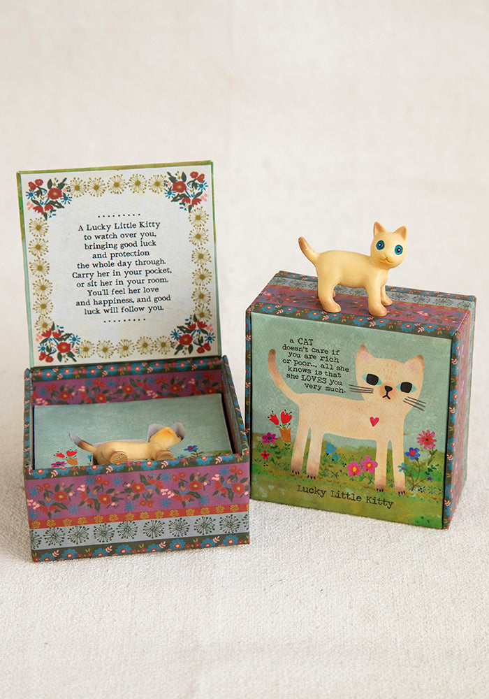 LUCKY CHARM IN BOX KITTY NC