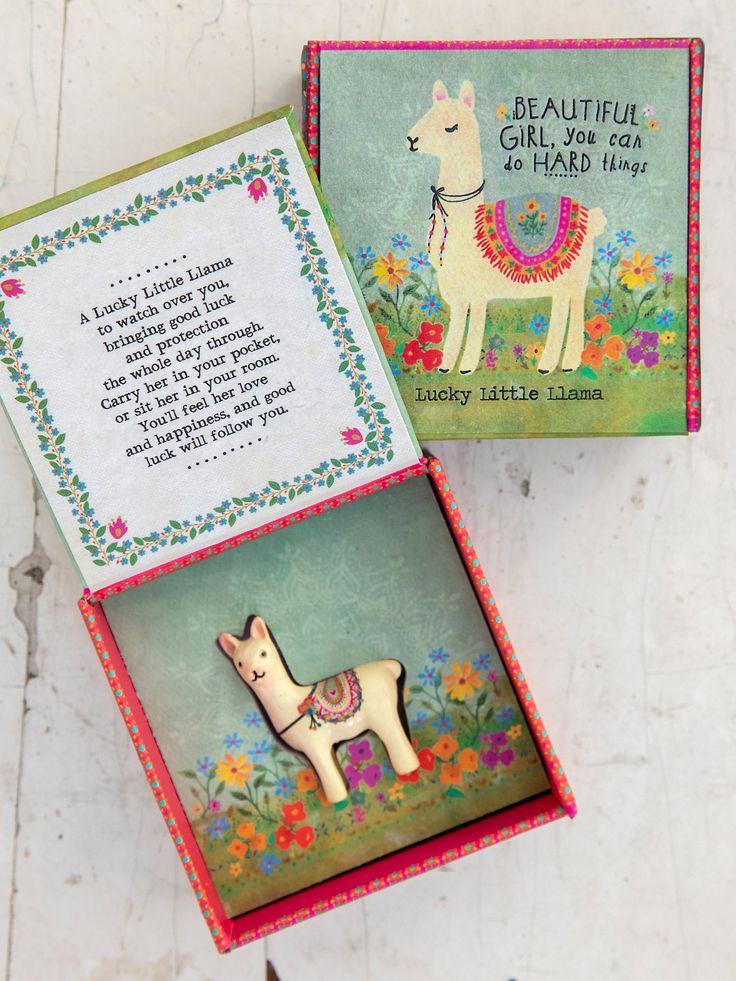 LUCKY CHARM IN BOX LLAMA NC