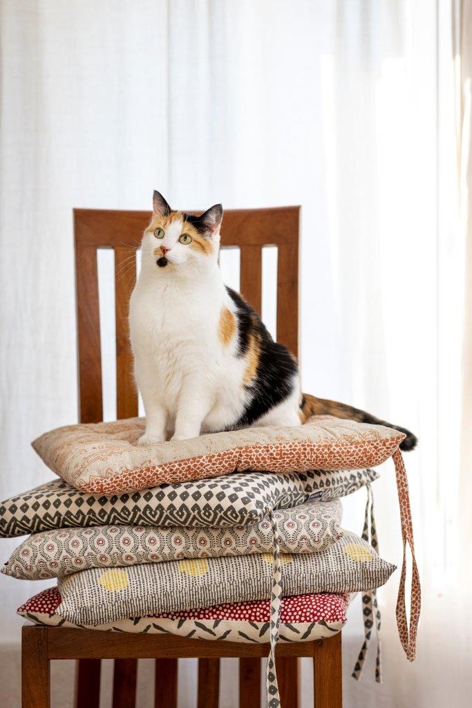 CUSHION SEAT ORG SQ WIGGLE