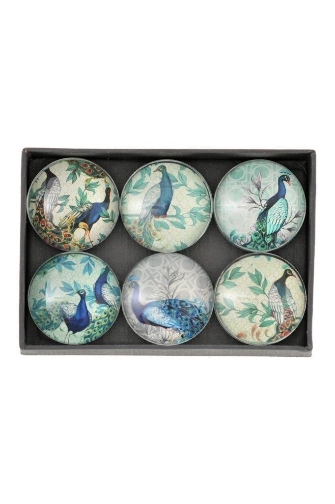 Peacock Glass Magnet Set – Set of 6