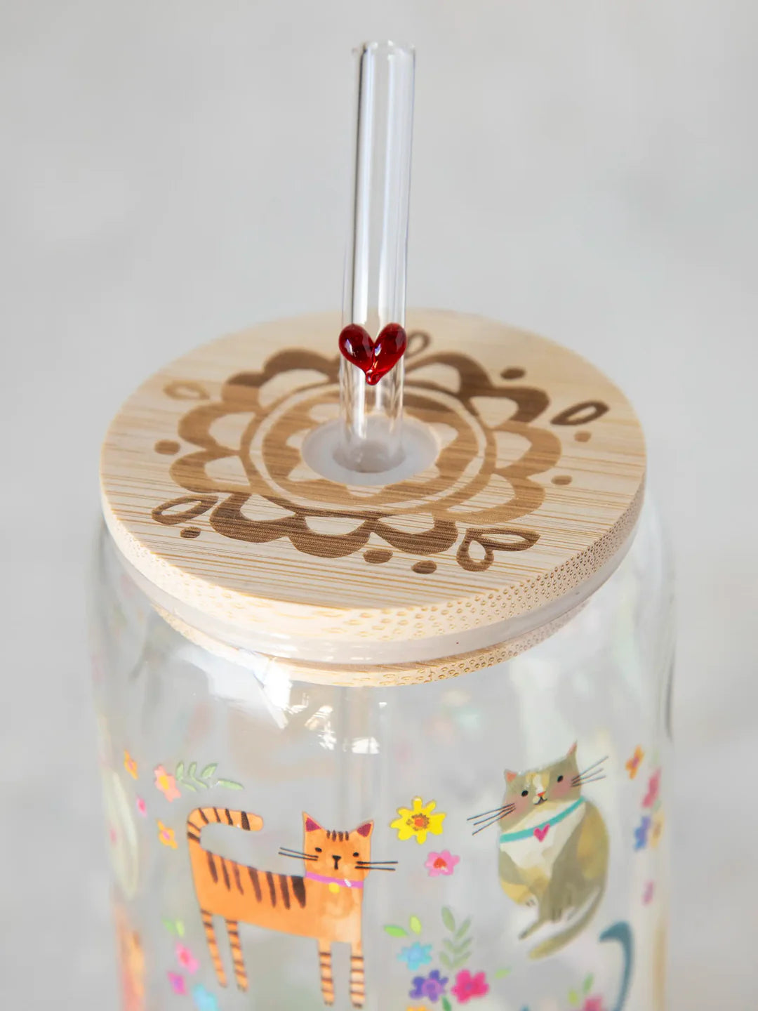 Glass Tumbler - w/Lid & Straw Cat